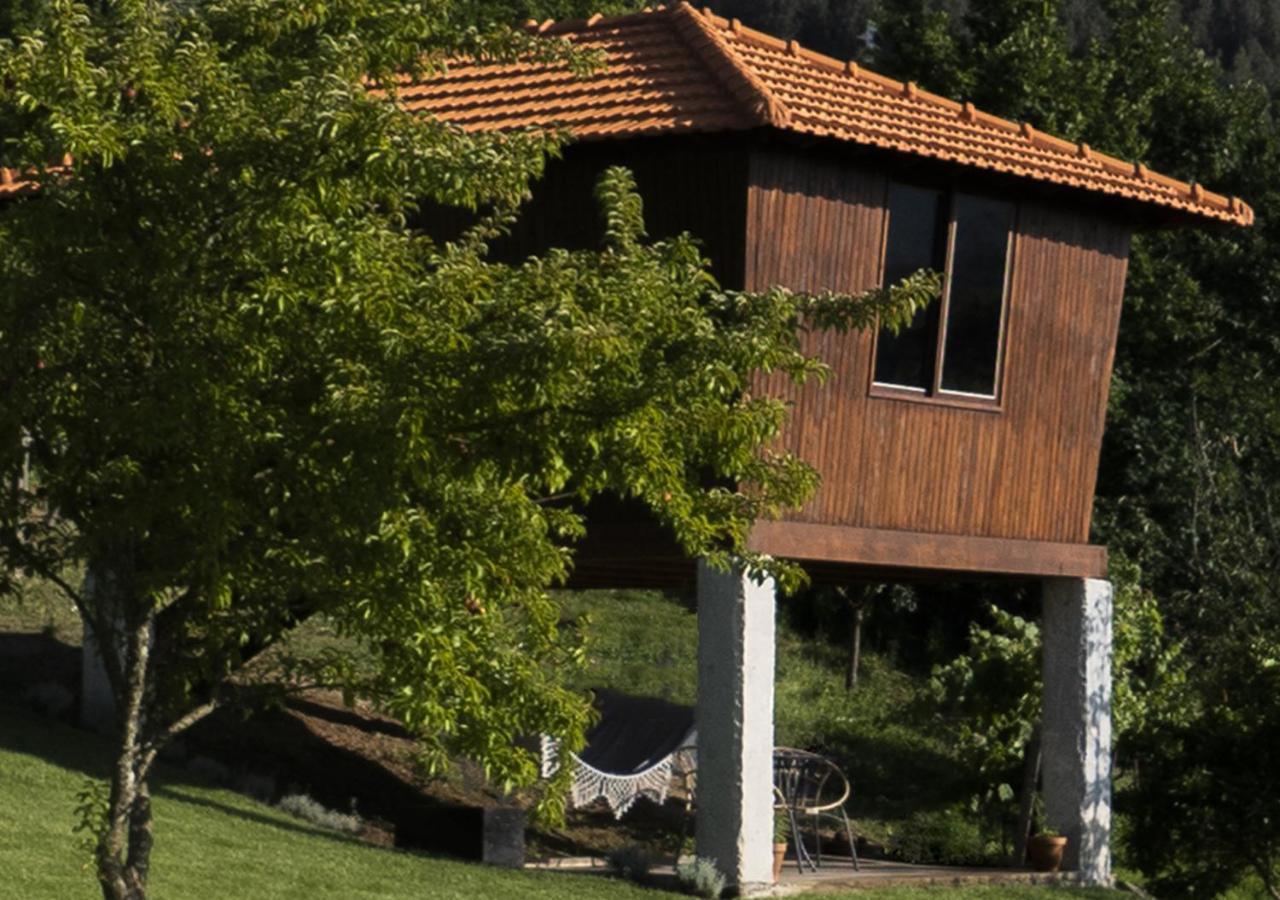 Cimo Da Vinha - Nature Spot Castelo de Paiva Exterior foto